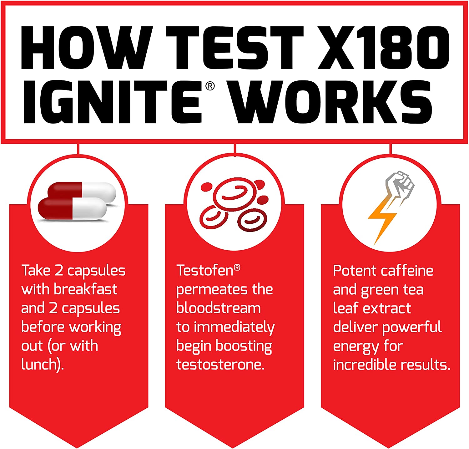 Force Factor Test X180 Ignite